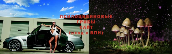 соль ск Аркадак