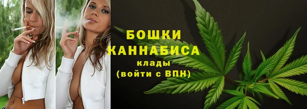 гидра Арсеньев