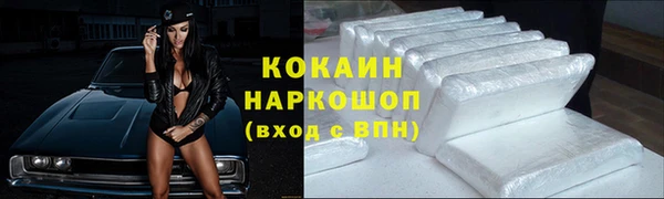 гидра Арсеньев