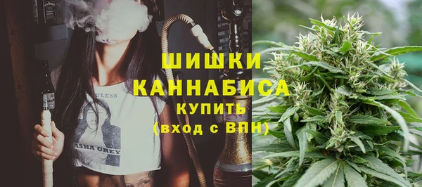 гидра Арсеньев